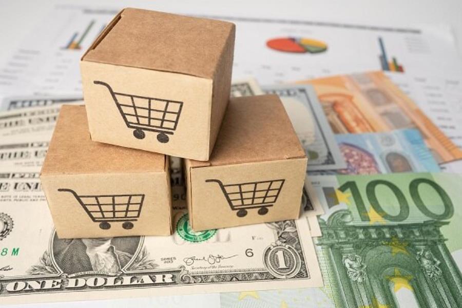 دلایل اجرای سیاست تامین نیازهای ارزی ضروری اشخاص حقیقی